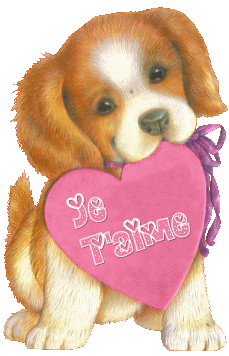 je t'aime mon amour